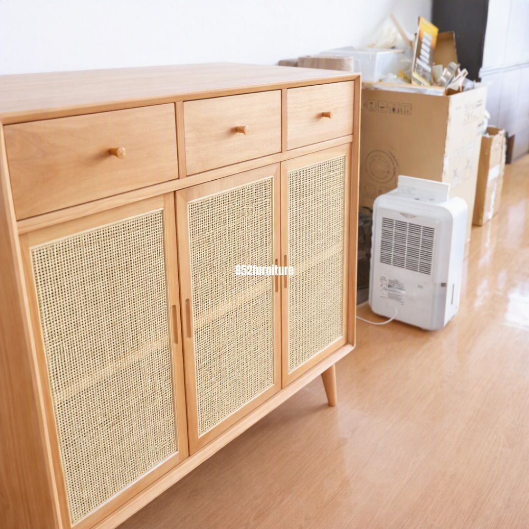 (包送貨安裝 | Delivery and Assembly Included) A126日式藤織面躺門鞋櫃 (rattan sliding doors shoe cabinet)